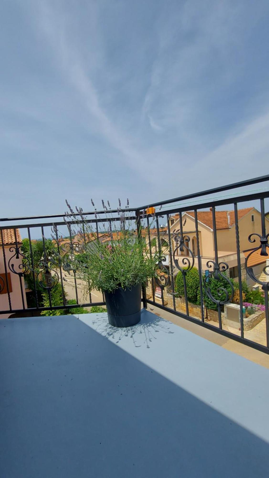 Apartments Kivi Новиград Екстериор снимка
